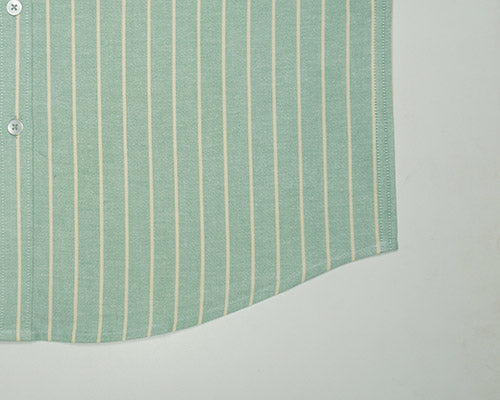 Men's 100% Cotton Chalk Striped Half Sleeves Shirt (Pistachio Green) FSH800316_6